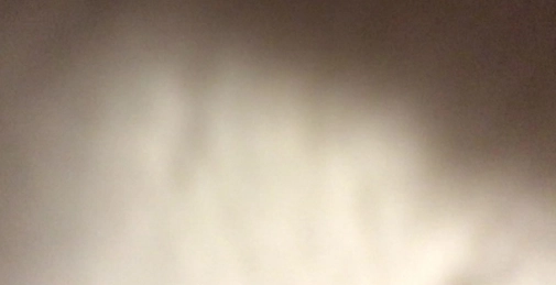 在西安猎头公司上班的东北少妇